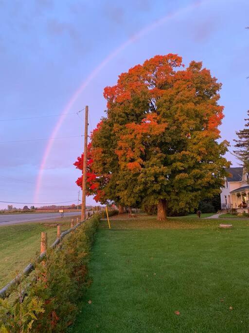 The Barns Of Brighton Near Prince Edward County المظهر الخارجي الصورة